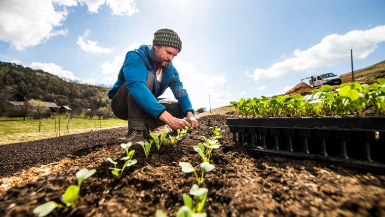 Auf dem Feld, © Dreikanterei Ein Mann pflanzt Setzlinge auf einem Feld unter blauem Himmel.