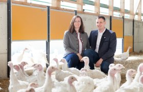 Bio-Puten Familie Puchegger, © LK NÖ, Gerald Lechner Eine Frau und ein Mann knien in einem Stall mit vielen weißen Puten.