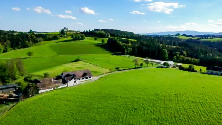Wiedenhof, © Michaela Faustmann Fotografie Landschaft mit grünen Feldern und einem Bauernhof unter blauem Himmel.