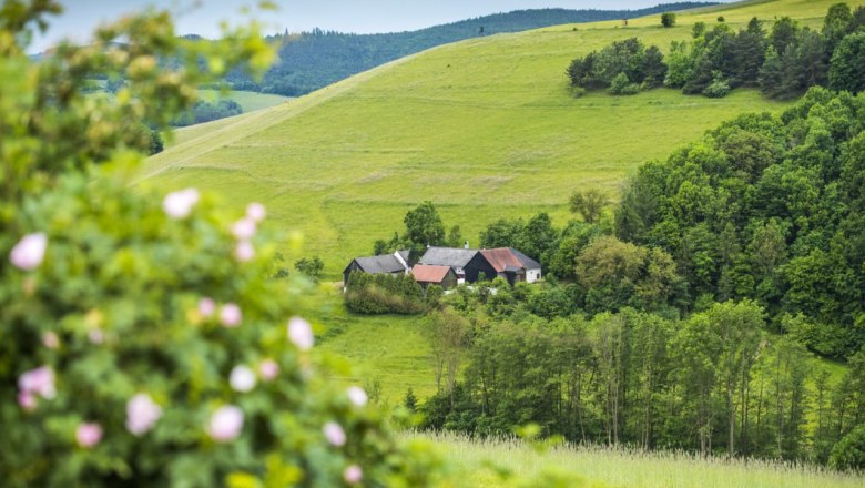 Der Hof, © Dreikanterei Ein Bauernhof umgeben von Bäumen und grünen Hügeln, mit einem blühenden Strauch im Vordergrund.