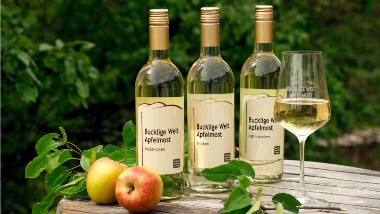 Drei Flaschen Apfelmost, ein Glas mit Apfelmost, Zweige und Äpfel auf einem runden Holztisch.