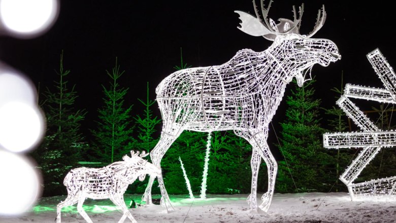 Leuchtobjekt in Form eines Elchs bei Nacht, im Hintergrund Schnee, Tannenbäume und weitere Leuchtobjekte.