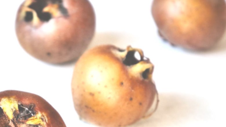 Mispeln vor weißem Hintergrund