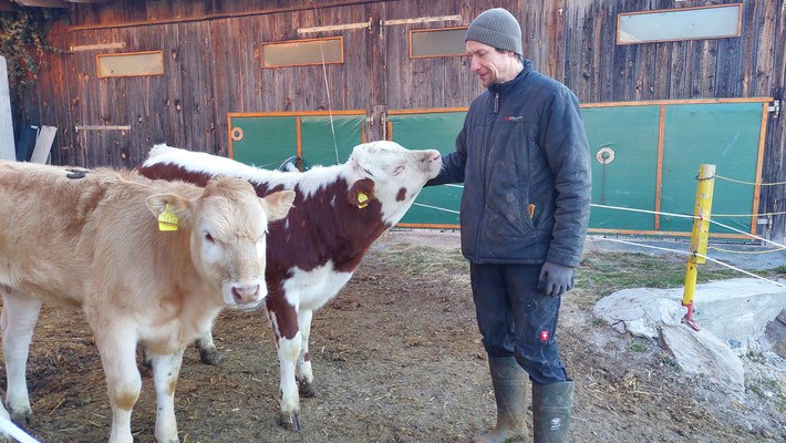 Ein Mann steht mit zwei Kälbern vor einem Holzstall.