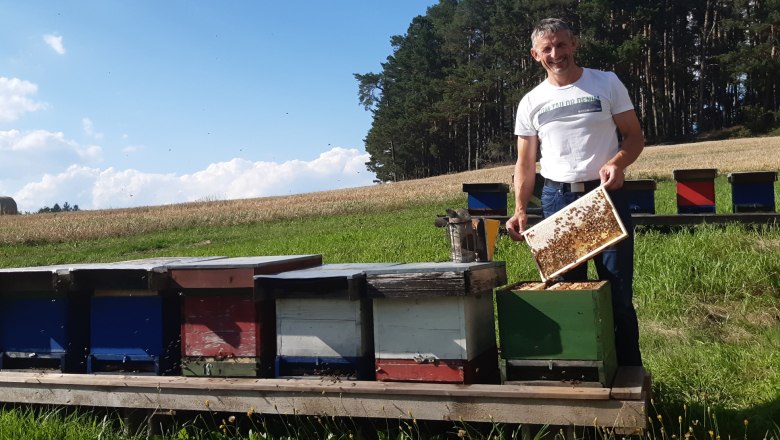 Ein lächelnder Mann mit einer Honigwabe in der Hand steht neben einer Reihe von Bienenstöcken.