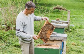 Ein Mann hält eine Bienenwabe neben Bienenstöcken auf einer grünen Wiese.
