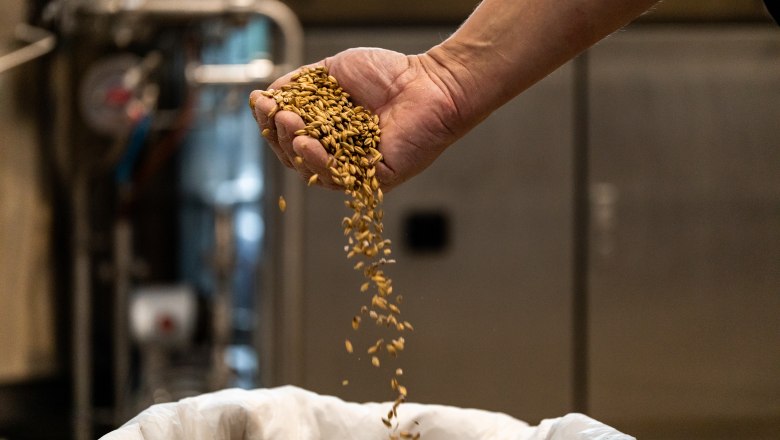 Hand streut Getreide in einen Sack in einer Brauerei.