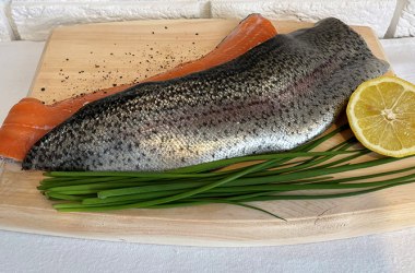 Fischzucht Tanzl - Lachsforelle, © Sooo gut schmeckt die Bucklige Welt