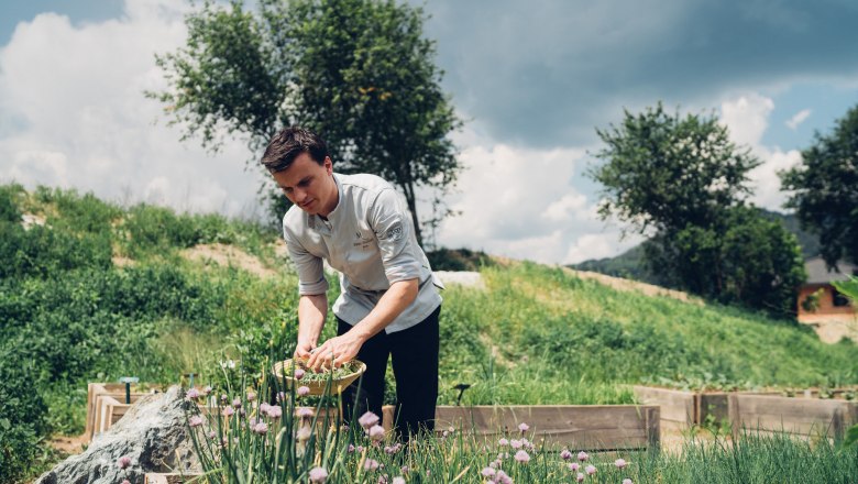 Ein Mann in einem Garten pflückt Kräuter in einem Korb, umgeben von grüner Vegetation und Bäumen unter einem bewölkten Himmel.