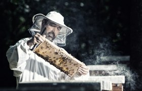 Ein Imker im Schutzanzug hält einen Rahmen mit Bienenwaben und Bienen, umgeben von Rauch.