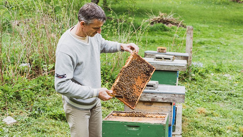 Ein Mann hält eine Bienenwabe neben Bienenstöcken auf einer grünen Wiese.