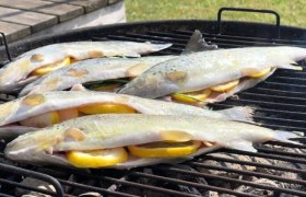 Forellen mit Zitronenscheiben liegen auf einem Grill im Freien.
