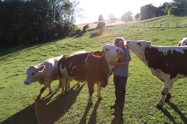 Frau auf Wiese mit drei Kühen – sie umarmt eine, eine andere schleckt ihr liebevoll das Gesicht.
